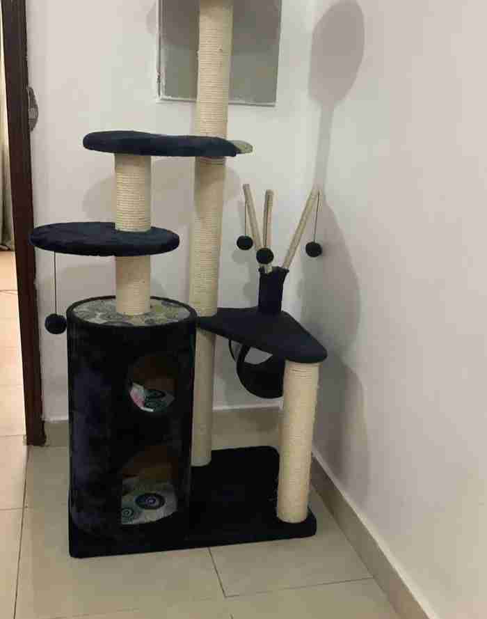 less used neat cat tree