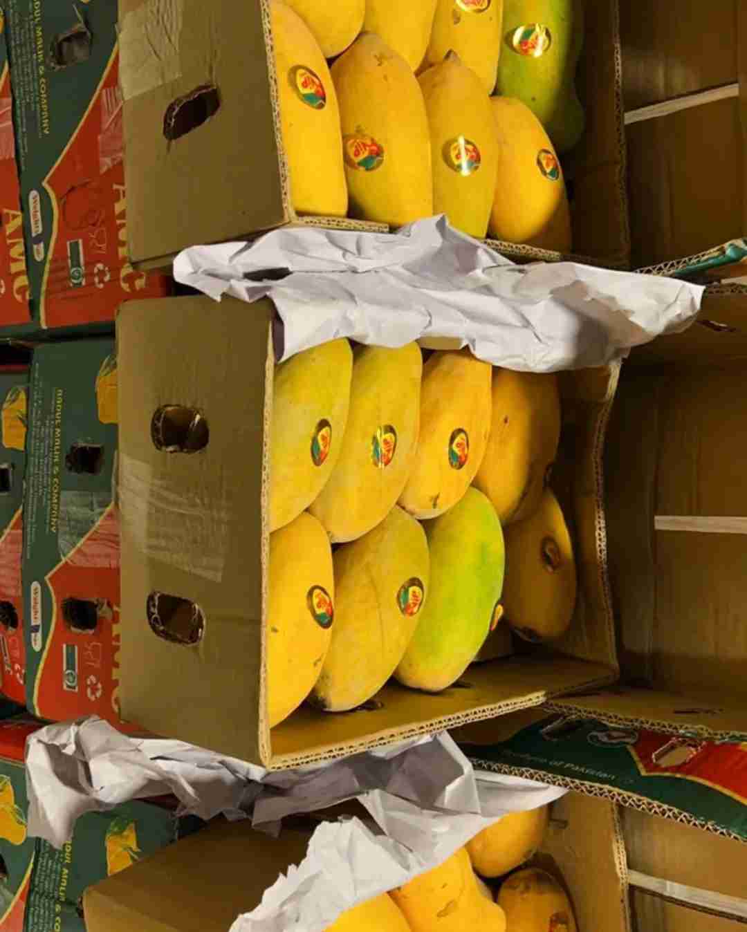 Mangoes for sale