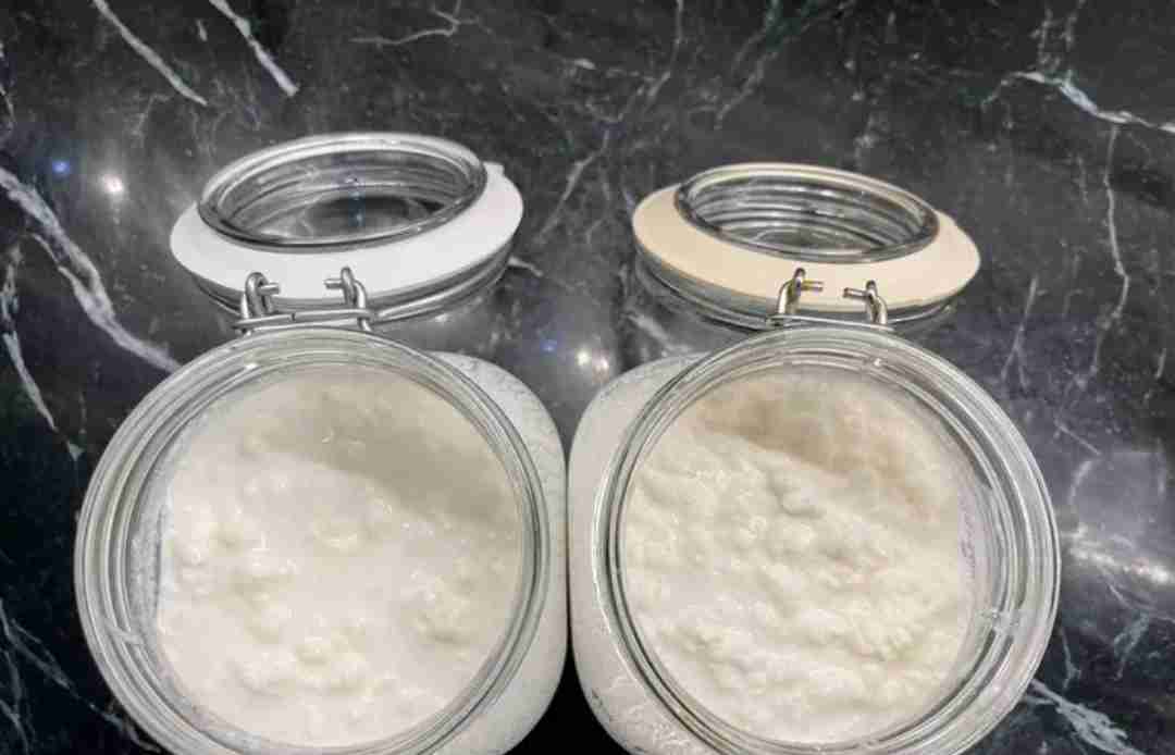 للبيع فطر هندي طازج ( كيفر / كفير ) Fresh Kefir grains for sale