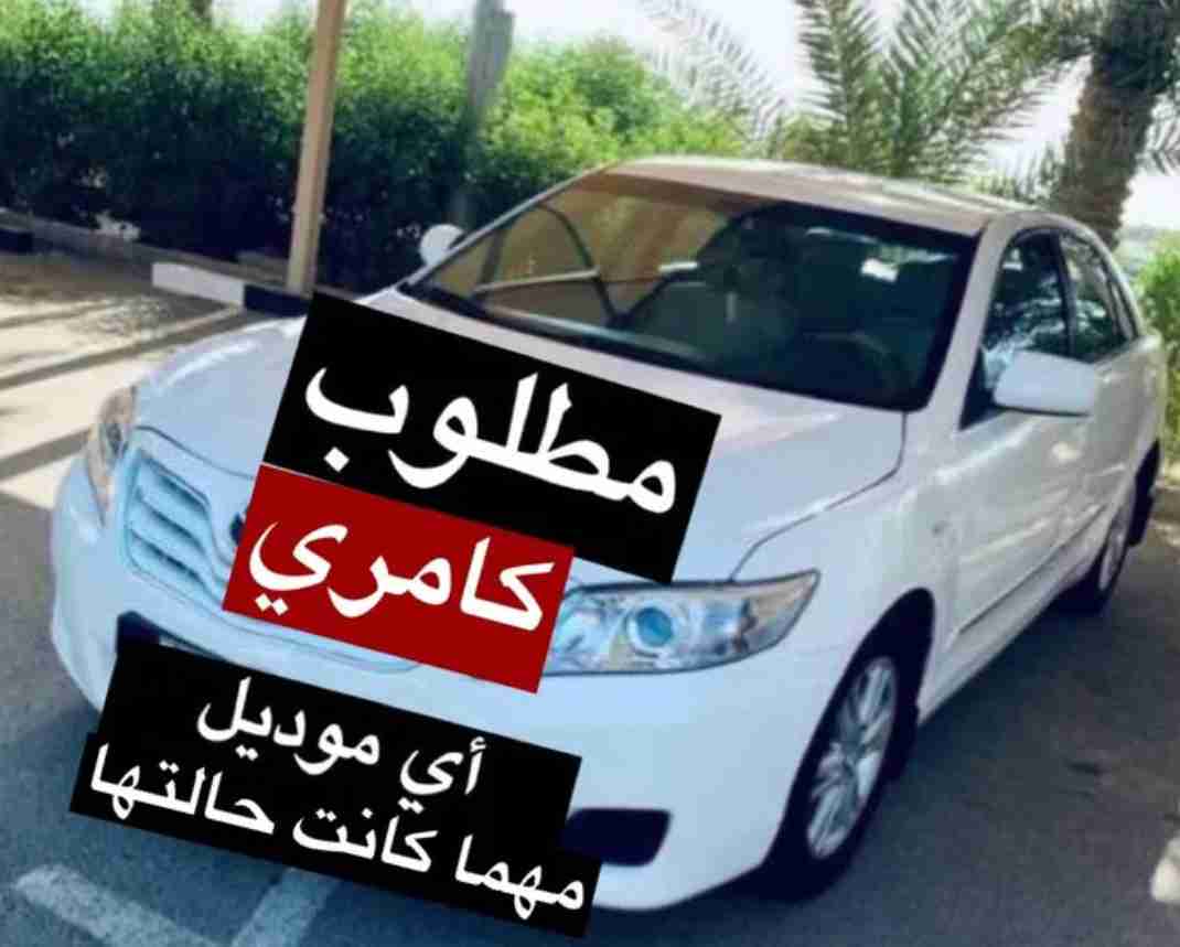 مطلوب كامري أي موديل مهما كانت حالتها
We are required to buy a Camry, any model, broken, supported or used
للتواصل 60002887  
او ارسال واتساب أو دردشة