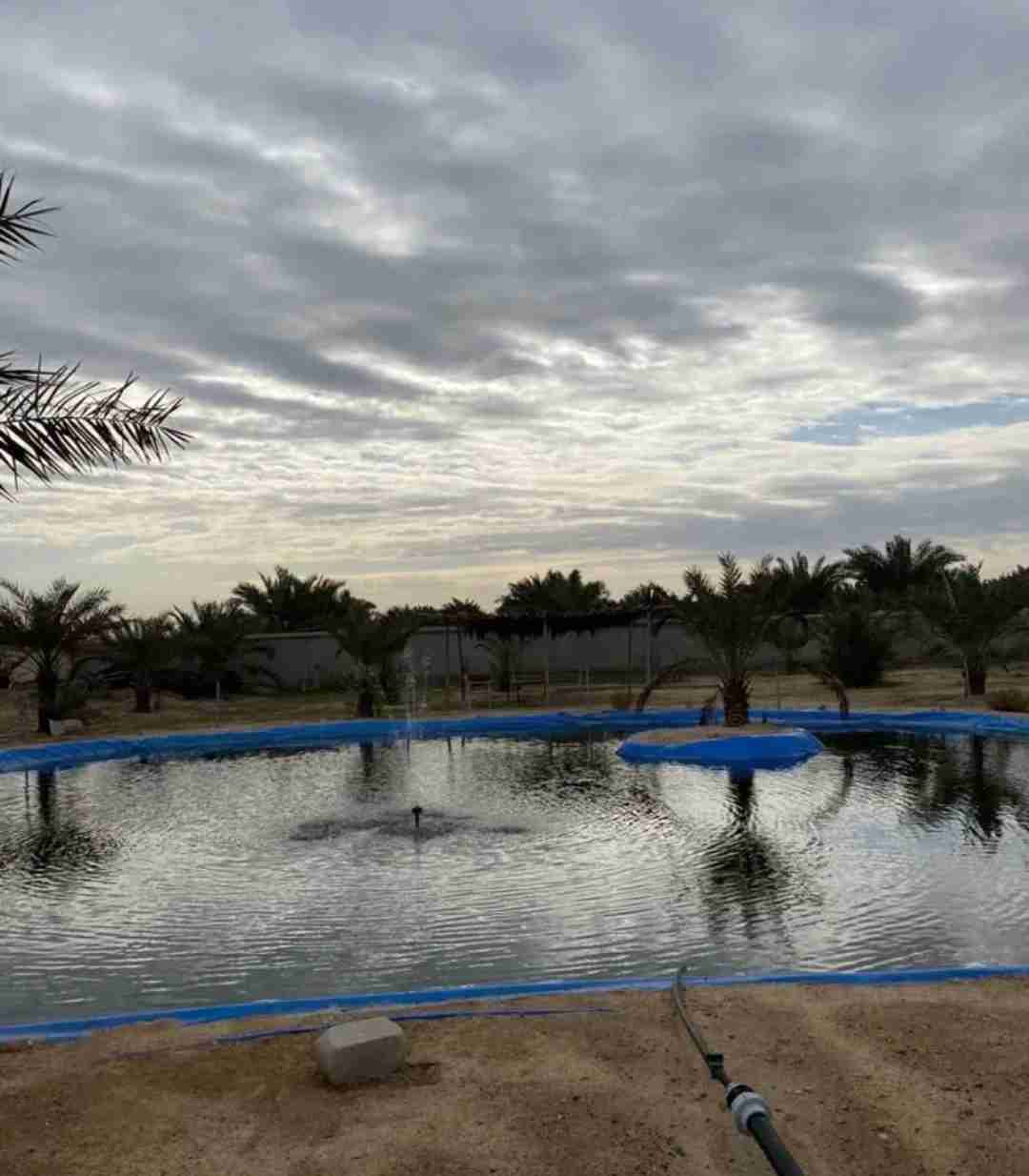 مزرعه للايجار اليومي for rent day farm