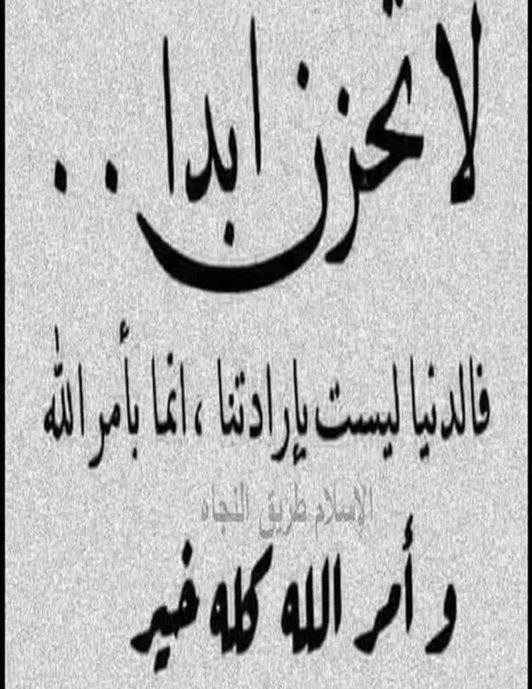 اريد مشاركة سكن في الفروانية مع ناس محترامين و حاجه نضيفه وهدوء وسراير فردي