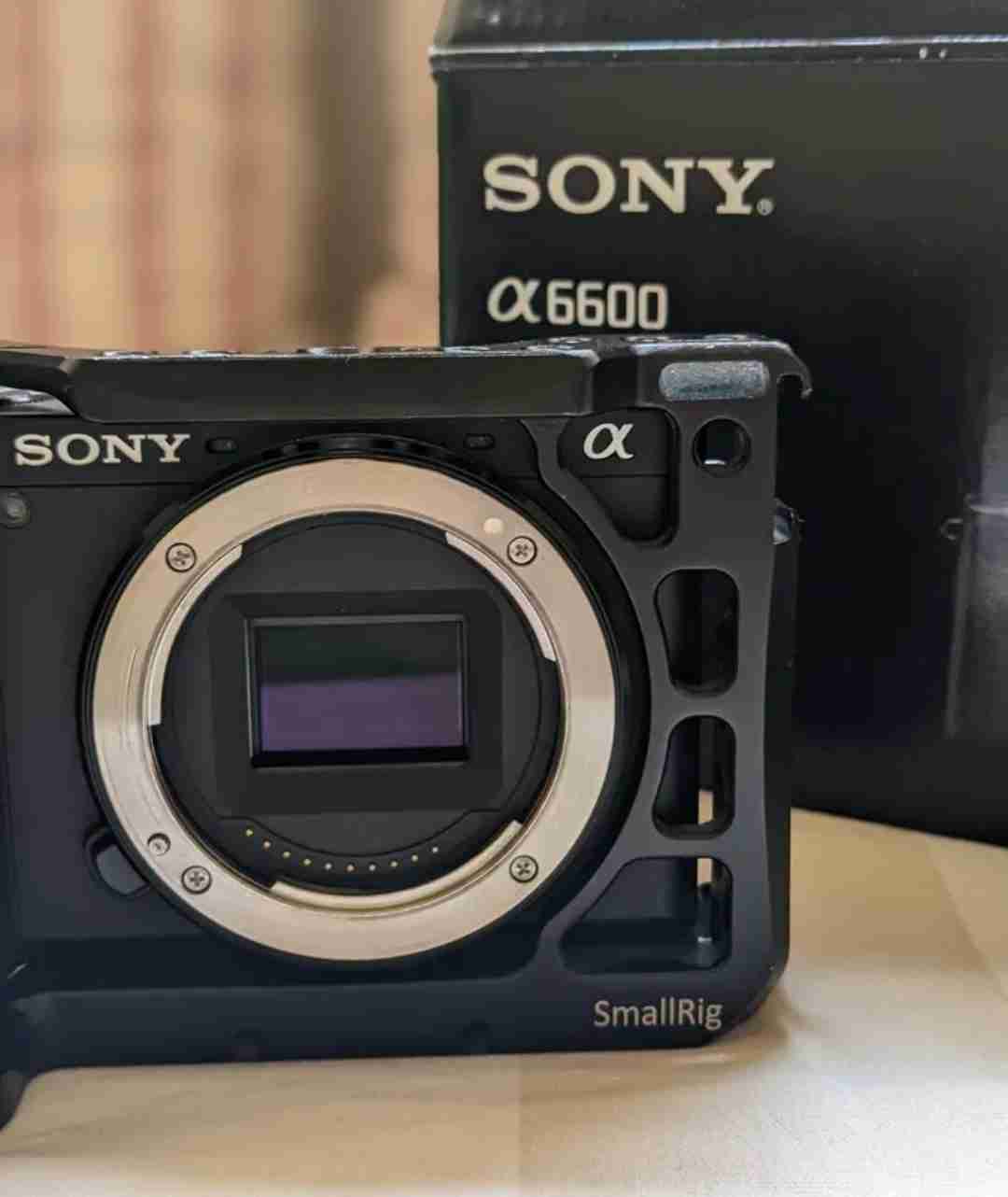 Sony A6600 سوني