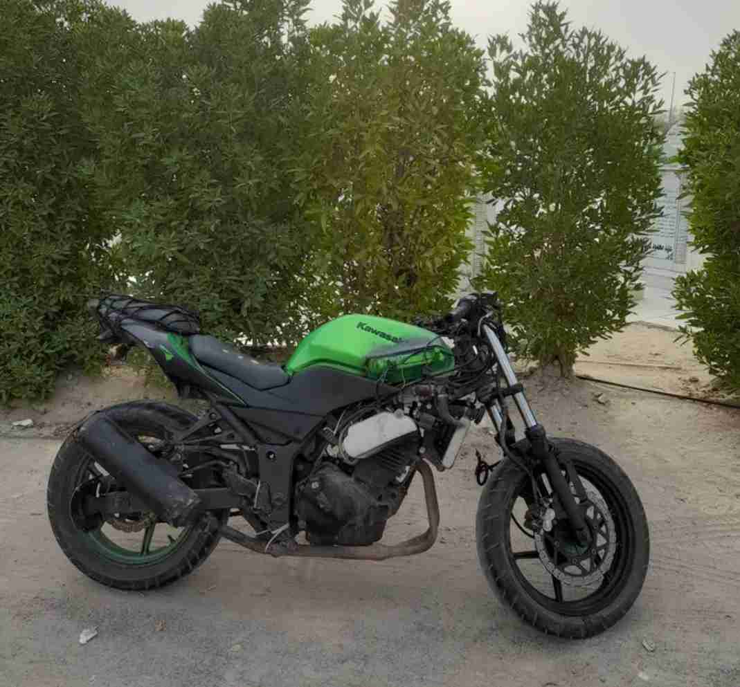 kawasaki 250r