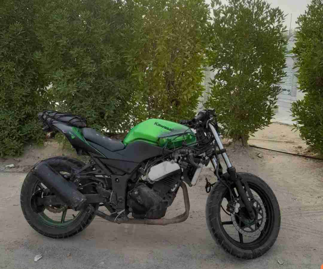 kawasaki ninja 250r