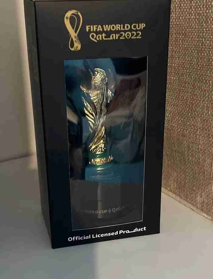 Trophy World Cup 2022 Official Licensed 100mm