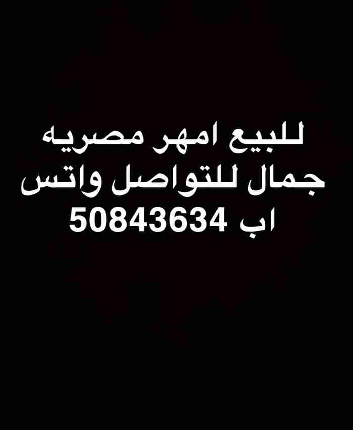 امهر جمال مصريه للبيع التواصل واتس اب