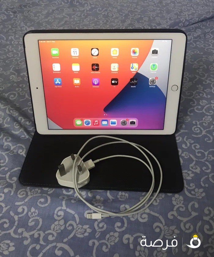 Apple iPad Air 2