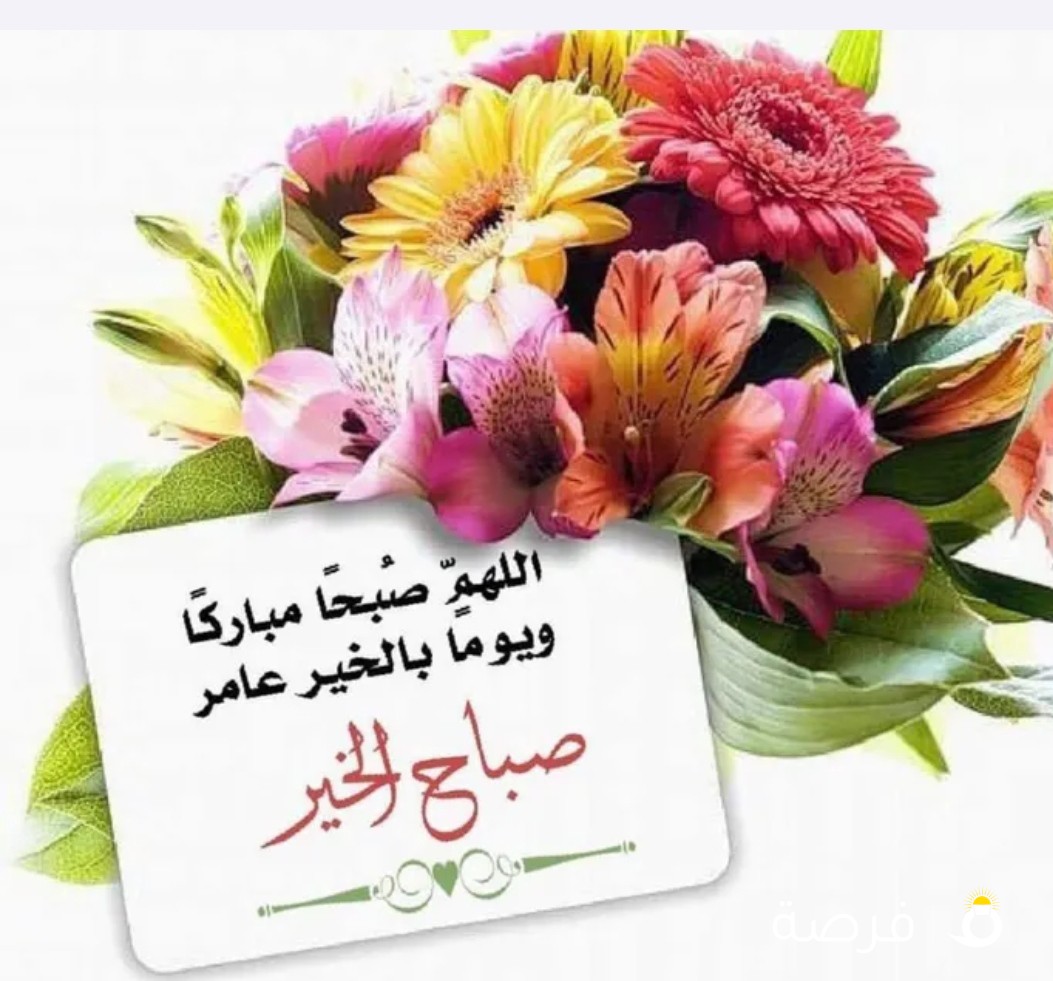 مدرسة تأسيس