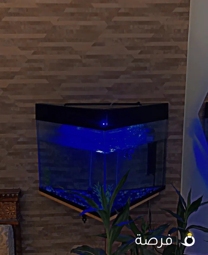 Fish Tank.