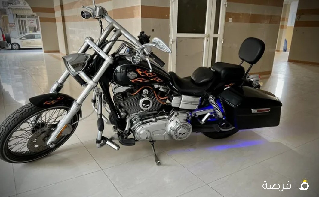 HD 2010 (FXDWG) DYNA WIDEGLIDE