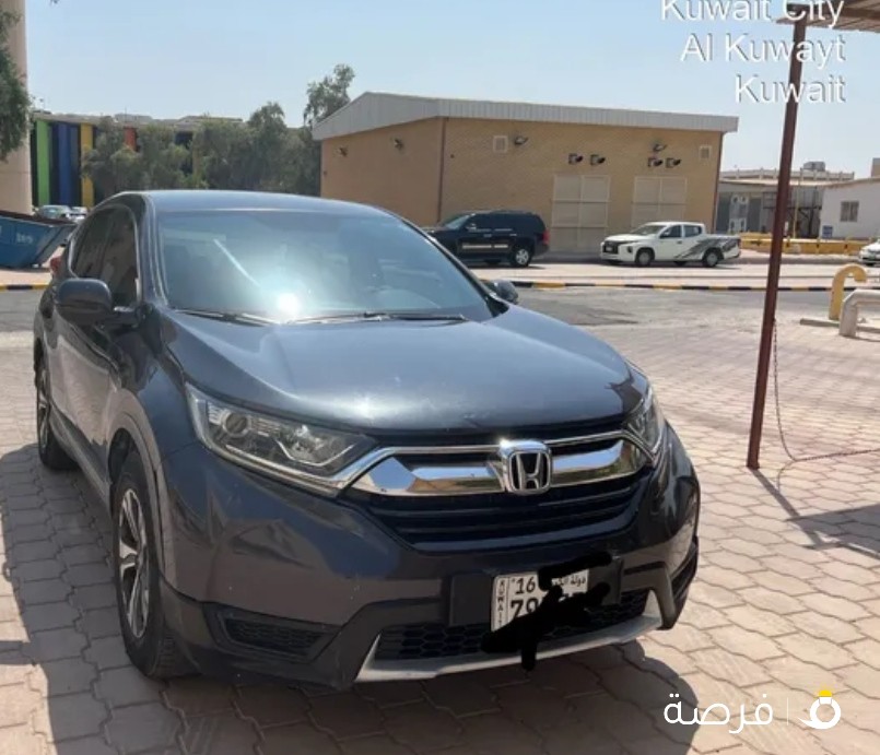 هوندا crv 2019