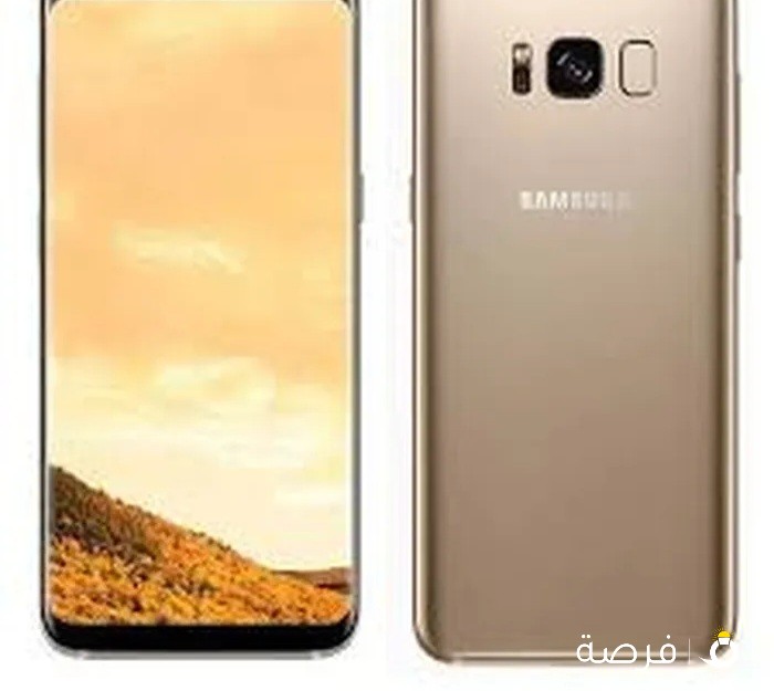 Samsung Galaxy S8+