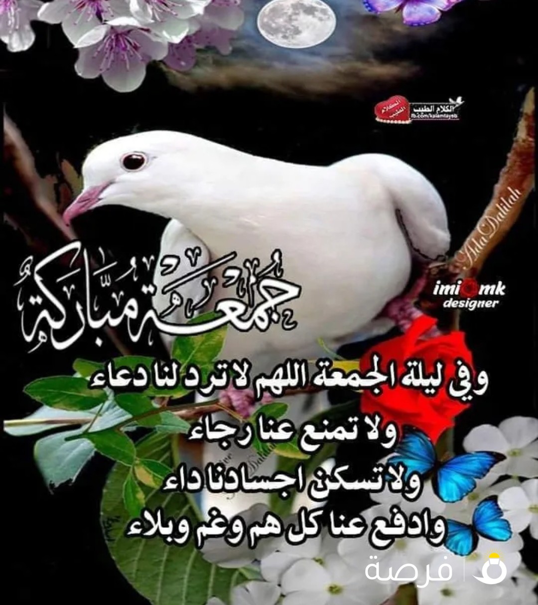 غرفه داخل شقه بميدان حولي 110